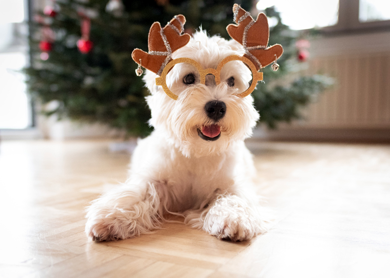 Frohe Weihnachten – Snowflake Mountain