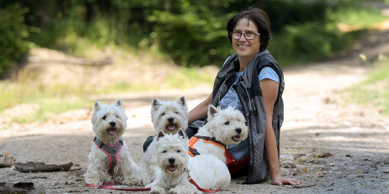 x Entspannung im Wald, Juli 2019