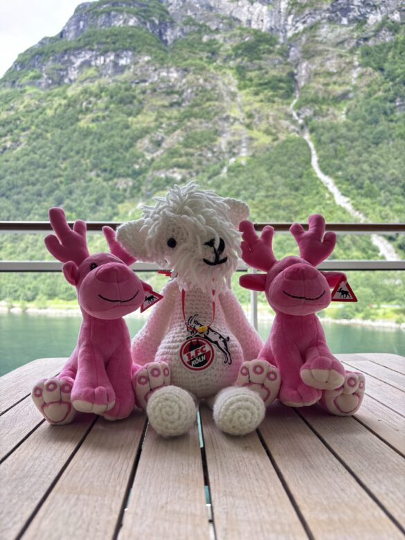 Reise-Bamse mit seinen neuen Freundinnen, Juli 2026